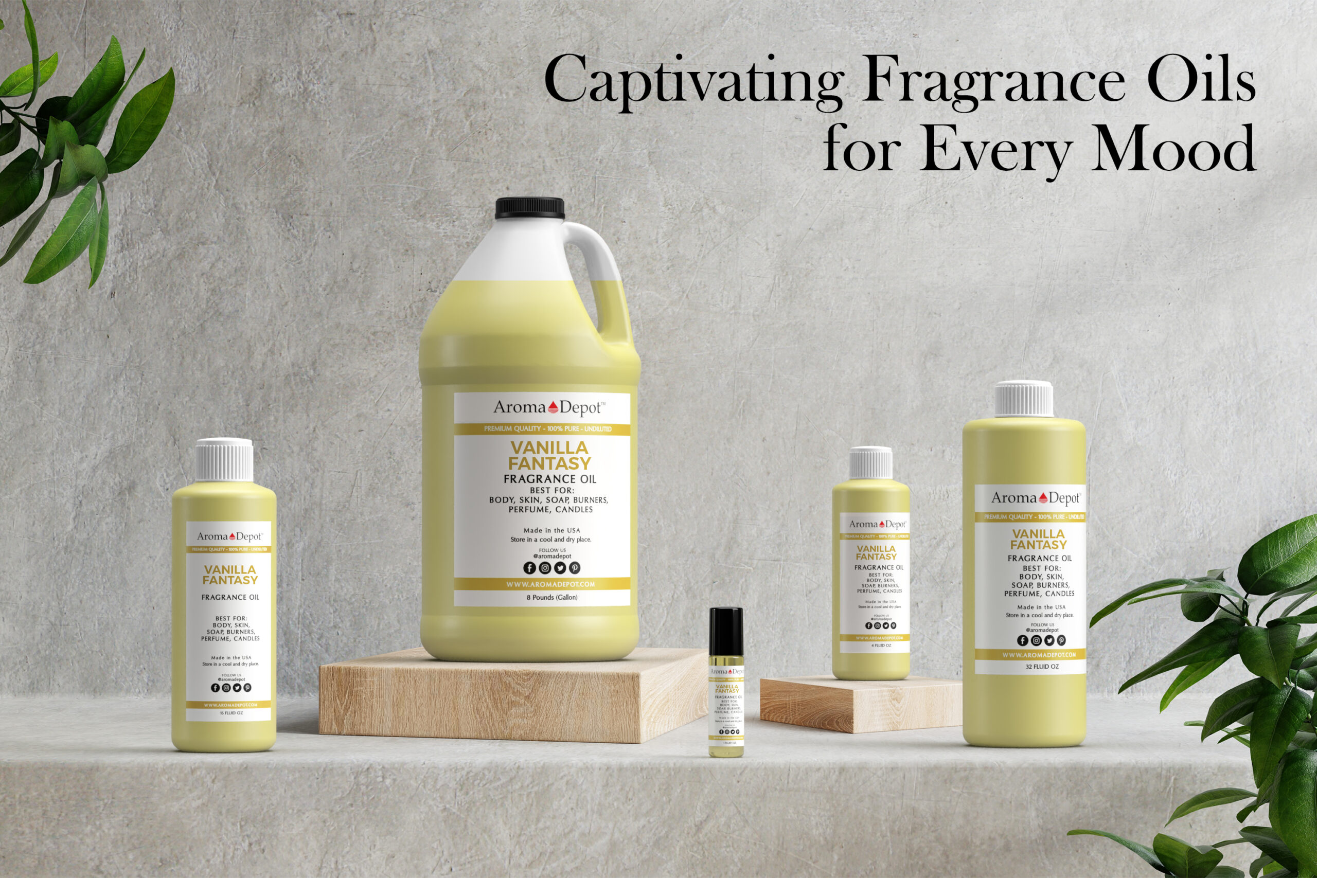 Vanilla Fragrance Oil - Premium Grade Scented Oil - 30ml