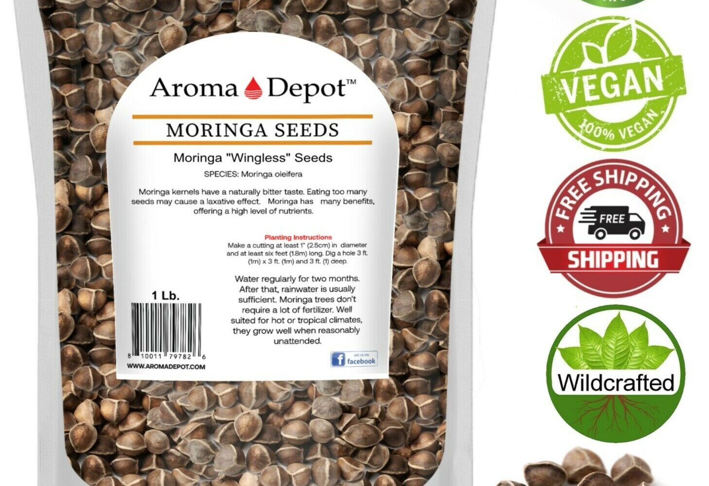 1Lb. Moringa Seeds 1600 Fresh Semilla de Moringa oleifera 100% Fresh Malunggay Premium Quality Moringa Seeds, "Wingless Moringa Seeds for Sale" "Premium Quality Moringa Seeds" "Buy Nutrient-Rich Wingless Moringa Seeds" "Top-Grade Wingless Moringa Seeds" "Health Benefits of Wingless Moringa Seeds" "Best Wingless Moringa Seeds Online" "Where to Buy Wingless Moringa Seeds" "Organic Wingless Moringa Seeds" "Moringa Oleifera Seeds for Wellness" "Unlocking the Power of Wingless Moringa Seeds"