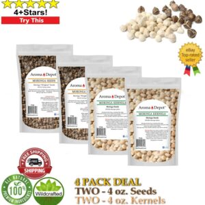 Wingless Moringa Seeds & Kernels 4 oz. Deal Fresh Bulk Seeds 4-Pack Deal