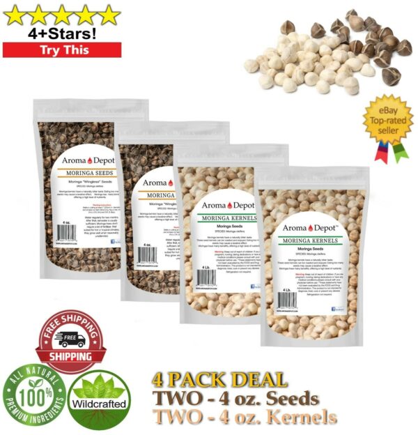 Wingless Moringa Seeds & Kernels 4 oz. Deal Fresh Bulk Seeds 4-Pack Deal
