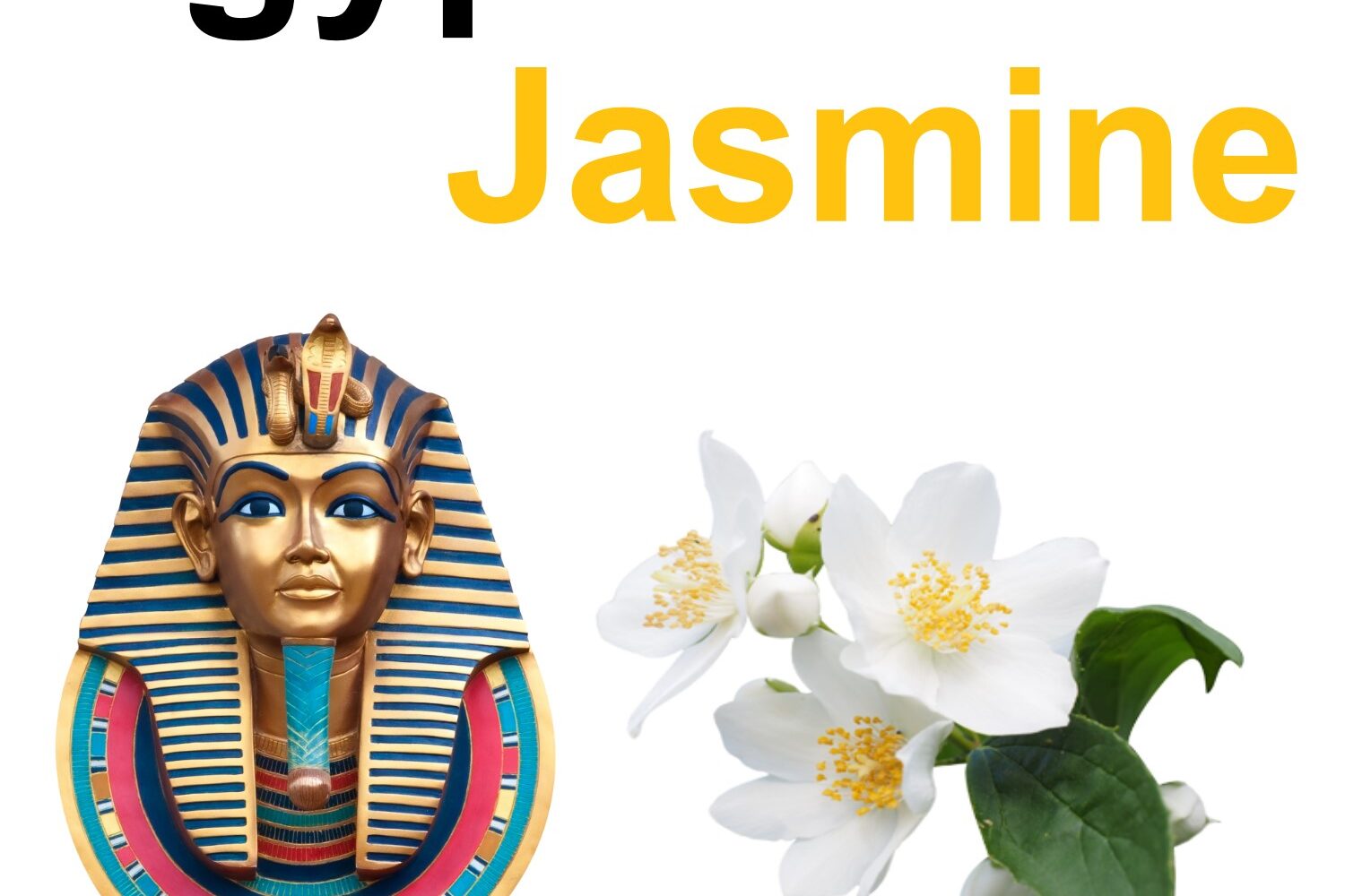 Egyptian Jasmine