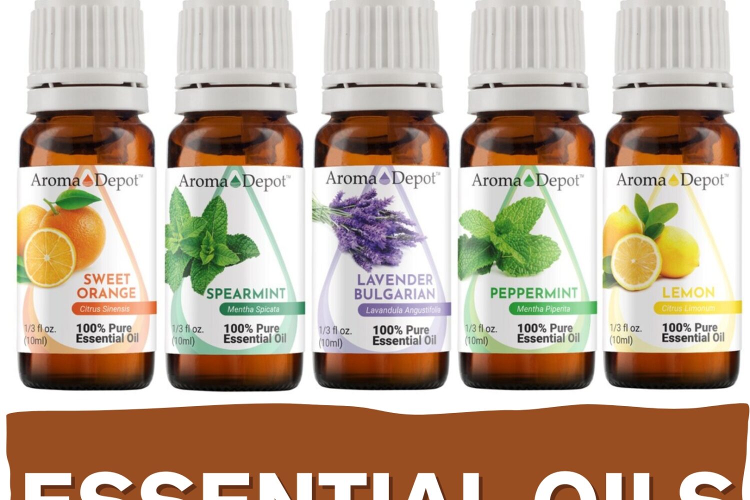 Aromatherapy Essential Oil Wholesale Aroma Depot Buy 3, Get 1 FREE Over 15 Thousand Sold on eBay 10 ml. Essential Oil 100% Pure Natural Therapeutic Grade. Aceite Esencia 100% Pure & Natural Therapeutic Grade Oils. Essential Oils Overview Aromas: Each essential oil boasts its own unique aroma, ranging from refreshing and invigorating to soothing and grounding. Blends With: These essential oils blend harmoniously with one another, offering endless possibilities for creating custom aromatic experiences. Common Uses: From promoting relaxation and emotional balance to supporting skin health and natural cleaning, essential oils offer a wide array of benefits for both mind and body. Usage Tips: Remember to dilute essential oils properly before use to prevent skin irritation. Always conduct a patch test beforehand, especially if you have sensitive skin. Additionally, consult with a healthcare professional before using essential oils, particularly if pregnant, nursing, or dealing with any medical concerns. Explore the world of essential oils and discover the power of nature's fragrant remedies! Let me know if this aligns with your expectations! Our oils are crafted to the highest standards of purity and quality, ensuring they are 100% natural therapeutic grade and free from pesticides, carriers, or synthetic additives. However, it's crucial to understand that essential oils are potent concentrates that require careful handling. Leading organizations such as the International Federation of Aromatherapists and prominent aromatherapy associations advise against internal use of essential oils without proper guidance from a trained healthcare practitioner. While our oils are of the utmost quality, internal use should only be undertaken under the supervision of a qualified professional. It's important to note that the information provided on our site is for reference purposes only and should not replace advice from licensed healthcare professionals. Our products have not been evaluated by the FDA and are not intended to diagnose, treat, cure, or prevent any disease. We classify our essential oils as medical food grade, and we strongly advise against internal use unless directed by a healthcare provider and certified aromatherapist. Proper dosage and usage should only be determined by qualified professionals. We urge you to consult with your healthcare provider and certified aromatherapist before considering ingestion of any essential oils. Safety is paramount, so please keep essential oils out of reach of infants, children, and pets. Wholesale available