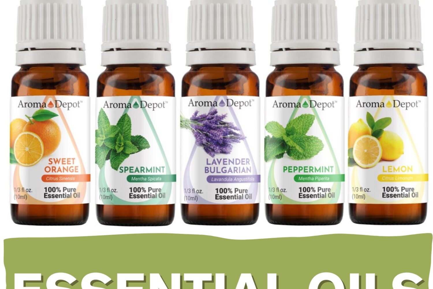 Essential Oil Set 6 - 10 ml. Aromatherapy Essential Oil Wholesale Aroma Depot Essential Oil Set 6 - 10 ml. 100% Pure Therapeutic Grade Buy 3, Get 1 FREE Over 15 Thousand Sold on eBay Essential Oil Set 6 - 10 ml. 100% Pure Therapeutic Grade Essential Oils Overview Aromas: Each essential oil boasts its own unique aroma, ranging from refreshing and invigorating to soothing and grounding. Blends With: These essential oils blend harmoniously with one another, offering endless possibilities for creating custom aromatic experiences. Common Uses: From promoting relaxation and emotional balance to supporting skin health and natural cleaning, essential oils offer a wide array of benefits for both mind and body. Usage Tips: Remember to dilute essential oils properly before use to prevent skin irritation. Always conduct a patch test beforehand, especially if you have sensitive skin. Additionally, consult with a healthcare professional before using essential oils, particularly if pregnant, nursing, or dealing with any medical concerns. Explore the world of essential oils and discover the power of nature's fragrant remedies! Our oils are crafted to the highest standards of purity and quality, ensuring they are 100% natural therapeutic grade and free from pesticides, carriers, or synthetic additives. However, it's crucial to understand that essential oils are potent concentrates that require careful handling. Leading organizations such as the International Federation of Aromatherapists and prominent aromatherapy associations advise against internal use of essential oils without proper guidance from a trained healthcare practitioner. While our oils are of the utmost quality, internal use should only be undertaken under the supervision of a qualified professional. It's important to note that the information provided on our site is for reference purposes only and should not replace advice from licensed healthcare professionals. Our products have not been evaluated by the FDA and are not intended to diagnose, treat, cure, or prevent any disease. We classify our essential oils as medical food grade, and we strongly advise against internal use unless directed by a healthcare provider and certified aromatherapist. Proper dosage and usage should only be determined by qualified professionals. We urge you to consult with your healthcare provider and certified aromatherapist before considering ingestion of any essential oils. Safety is paramount, so please keep essential oils out of reach of infants, children, and pets. Wholesale available