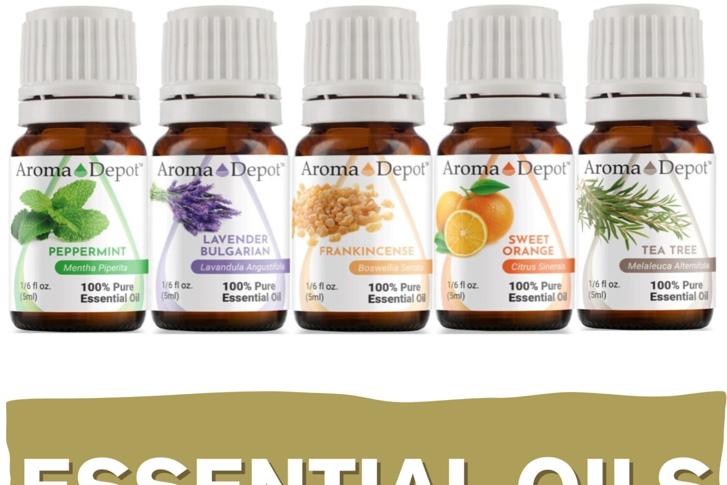 5ml. Essential Oil 100% Pure Natural Aromatherapy Wholesale Aroma Depot 5ml. Essential Oil Aromatherapy Buy 3, Get 1 FREE Over 15 Thousand Sold on eBay Essential Oils Overview Aromas: Each essential oil boasts its own unique aroma, ranging from refreshing and invigorating to soothing and grounding. Blends With: These essential oils blend harmoniously with one another, offering endless possibilities for creating custom aromatic experiences. Common Uses: From promoting relaxation and emotional balance to supporting skin health and natural cleaning, essential oils offer a wide array of benefits for both mind and body. Usage Tips: Remember to dilute essential oils properly before use to prevent skin irritation. Always conduct a patch test beforehand, especially if you have sensitive skin. Additionally, consult with a healthcare professional before using essential oils, particularly if pregnant, nursing, or dealing with any medical concerns. Explore the world of essential oils and discover the power of nature’s fragrant remedies! Our oils are crafted to the highest standards of purity and quality, ensuring they are 100% natural therapeutic grade and free from pesticides, carriers, or synthetic additives. However, it’s crucial to understand that essential oils are potent concentrates that require careful handling. Leading organizations such as the International Federation of Aromatherapists and prominent aromatherapy associations advise against internal use of essential oils without proper guidance from a trained healthcare practitioner. While our oils are of the utmost quality, internal use should only be undertaken under the supervision of a qualified professional. It’s important to note that the information provided on our site is for reference purposes only and should not replace advice from licensed healthcare professionals. Our products have not been evaluated by the FDA and are not intended to diagnose, treat, cure, or prevent any disease. We classify our essential oils as medical food grade, and we strongly advise against internal use unless directed by a healthcare provider and certified aromatherapist. Proper dosage and usage should only be determined by qualified professionals. We urge you to consult with your healthcare provider and certified aromatherapist before considering ingestion of any essential oils. Safety is paramount, so please keep essential oils out of reach of infants, children, and pets. Wholesale available