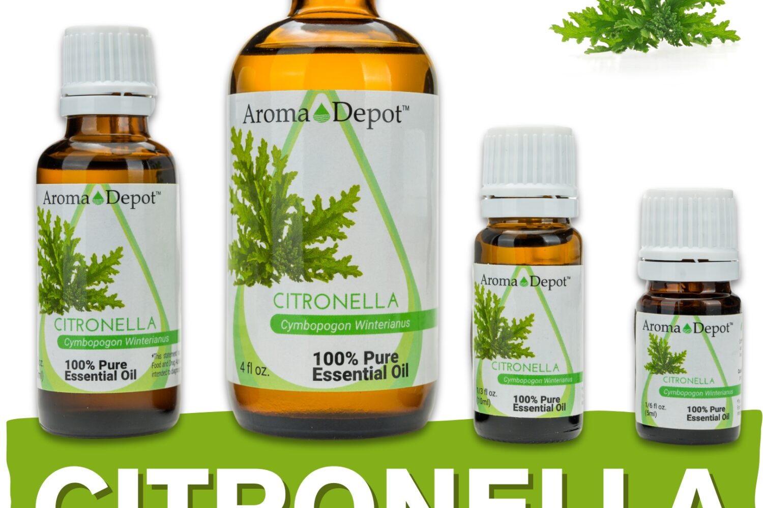 Aromatherapy Essential Oil Wholesale Aroma Depot Buy 3, Get 1 FREE Over 15 Thousand Sold on eBay Citronella Essential Oil 100% Pure Natural Therapeutic Grade Wholesale Pure Natural Therapeutic Grade Citronella Essential Oil: Ideal for Aromatherapy, Skin Care, Candle Making, and Diffusing. Botanical Name: Cymbopogon nardus Aroma: offers a fresh, citrusy scent with lemony and grassy notes, providing a bright and uplifting aroma. Blends With: Citronella Essential Oil (Cymbopogon nardus) blends harmoniously with a variety of other essential oils, including lemongrass, lavender, eucalyptus, peppermint, geranium, and cedarwood. Derived from the leaves and stems of the citronella grass (Cymbopogon nardus) through steam distillation, Citronella Essential Oil is cherished for its vibrant aroma and versatile properties, making it a popular choice in aromatherapy, personal care products, and natural insect repellents. Common Uses: Natural Insect Repellent: Citronella Essential Oil is renowned for its ability to repel insects, particularly mosquitoes. Incorporate it into homemade insect repellent sprays or diffuse it indoors to create a bug-free environment. Outdoor Enjoyment: Add Citronella Essential Oil to outdoor candles and torches to keep bugs at bay during gatherings and activities, while also enhancing the ambiance with its fresh scent. Air Freshening: Enjoy the bright and refreshing aroma of Citronella Essential Oil by diffusing it or adding it to DIY air fresheners to eliminate unpleasant odors and create a clean-smelling environment. However, it's important to note that Citronella Essential Oil must be diluted properly before use to prevent skin irritation. Always conduct a patch test beforehand, especially if you have sensitive skin. Additionally, consult with a healthcare professional before using essential oils, particularly if pregnant, nursing, or dealing with any medical concerns." Let me know if this fits your needs! Our oils are crafted to the highest standards of purity and quality, ensuring they are 100% natural therapeutic grade and free from pesticides, carriers, or synthetic additives. However, it's crucial to understand that essential oils are potent concentrates that require careful handling. Leading organizations such as the International Federation of Aromatherapists and prominent aromatherapy associations advise against internal use of essential oils without proper guidance from a trained healthcare practitioner. While our oils are of the utmost quality, internal use should only be undertaken under the supervision of a qualified professional. It's important to note that the information provided on our site is for reference purposes only and should not replace advice from licensed healthcare professionals. Our products have not been evaluated by the FDA and are not intended to diagnose, treat, cure, or prevent any disease. We classify our essential oils as medical food grade, and we strongly advise against internal use unless directed by a healthcare provider and certified aromatherapist. Proper dosage and usage should only be determined by qualified professionals. We urge you to consult with your healthcare provider and certified aromatherapist before considering ingestion of any essential oils. Safety is paramount, so please keep essential oils out of reach of infants, children, and pets. Wholesale available