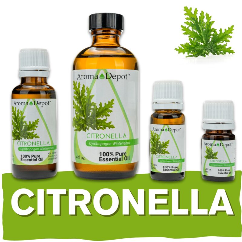 Aromatherapy Essential Oil Wholesale Aroma Depot Buy 3, Get 1 FREE Over 15 Thousand Sold on eBay Citronella Essential Oil 100% Pure Natural Therapeutic Grade Wholesale Pure Natural Therapeutic Grade Citronella Essential Oil: Ideal for Aromatherapy, Skin Care, Candle Making, and Diffusing. Botanical Name: Cymbopogon nardus Aroma: offers a fresh, citrusy scent with lemony and grassy notes, providing a bright and uplifting aroma. Blends With: Citronella Essential Oil (Cymbopogon nardus) blends harmoniously with a variety of other essential oils, including lemongrass, lavender, eucalyptus, peppermint, geranium, and cedarwood. Derived from the leaves and stems of the citronella grass (Cymbopogon nardus) through steam distillation, Citronella Essential Oil is cherished for its vibrant aroma and versatile properties, making it a popular choice in aromatherapy, personal care products, and natural insect repellents. Common Uses: Natural Insect Repellent: Citronella Essential Oil is renowned for its ability to repel insects, particularly mosquitoes. Incorporate it into homemade insect repellent sprays or diffuse it indoors to create a bug-free environment. Outdoor Enjoyment: Add Citronella Essential Oil to outdoor candles and torches to keep bugs at bay during gatherings and activities, while also enhancing the ambiance with its fresh scent. Air Freshening: Enjoy the bright and refreshing aroma of Citronella Essential Oil by diffusing it or adding it to DIY air fresheners to eliminate unpleasant odors and create a clean-smelling environment. However, it's important to note that Citronella Essential Oil must be diluted properly before use to prevent skin irritation. Always conduct a patch test beforehand, especially if you have sensitive skin. Additionally, consult with a healthcare professional before using essential oils, particularly if pregnant, nursing, or dealing with any medical concerns." Let me know if this fits your needs! Our oils are crafted to the highest standards of purity and quality, ensuring they are 100% natural therapeutic grade and free from pesticides, carriers, or synthetic additives. However, it's crucial to understand that essential oils are potent concentrates that require careful handling. Leading organizations such as the International Federation of Aromatherapists and prominent aromatherapy associations advise against internal use of essential oils without proper guidance from a trained healthcare practitioner. While our oils are of the utmost quality, internal use should only be undertaken under the supervision of a qualified professional. It's important to note that the information provided on our site is for reference purposes only and should not replace advice from licensed healthcare professionals. Our products have not been evaluated by the FDA and are not intended to diagnose, treat, cure, or prevent any disease. We classify our essential oils as medical food grade, and we strongly advise against internal use unless directed by a healthcare provider and certified aromatherapist. Proper dosage and usage should only be determined by qualified professionals. We urge you to consult with your healthcare provider and certified aromatherapist before considering ingestion of any essential oils. Safety is paramount, so please keep essential oils out of reach of infants, children, and pets. Wholesale available