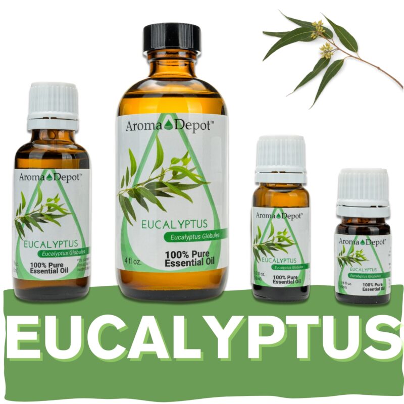 Aromatherapy Essential Oil Wholesale Aroma Depot Buy 3, Get 1 FREE Over 15 Thousand Sold on eBay Eucalyptus Essential Oil 100% Pure Natural Therapeutic Grade Wholesale Pure Natural Therapeutic Grade Eucalyptus Essential Oil: Ideal for Aromatherapy, Skin Care, Candle Making, and Diffusing. Botanical Name: Eucalyptus globulus Aroma: Eucalyptus Essential Oil (Eucalyptus globulus) emits a refreshing, minty aroma with hints of camphor and pine, providing a revitalizing and invigorating scent. Blends With: Eucalyptus Essential Oil (Eucalyptus globulus) blends well with a variety of other essential oils, including peppermint, lavender, tea tree, lemon, and rosemary. Derived from the leaves of the eucalyptus tree (Eucalyptus globulus) through steam distillation, Eucalyptus Essential Oil is prized for its uplifting aroma and versatile properties, making it a staple in aromatherapy, personal care products, and household cleaners. Common Uses: Respiratory Support: Inhale the refreshing scent of Eucalyptus Essential Oil to promote clear breathing and support respiratory health. It can be diffused or added to steam inhalation blends. Mental Clarity: Diffuse Eucalyptus Essential Oil to enhance focus and mental clarity, especially during study or work sessions. Natural Cleaning: Harness the antimicrobial properties of Eucalyptus Essential Oil by adding it to homemade cleaning products to disinfect surfaces and freshen the air. However, it's important to note that Eucalyptus Essential Oil must be diluted properly before use to prevent skin irritation. Always conduct a patch test beforehand, especially if you have sensitive skin. Additionally, consult with a healthcare professional before using essential oils, particularly if pregnant, nursing, or dealing with any medical concerns." Let me know if this meets your expectations! Our oils are crafted to the highest standards of purity and quality, ensuring they are 100% natural therapeutic grade and free from pesticides, carriers, or synthetic additives. However, it's crucial to understand that essential oils are potent concentrates that require careful handling. Leading organizations such as the International Federation of Aromatherapists and prominent aromatherapy associations advise against internal use of essential oils without proper guidance from a trained healthcare practitioner. While our oils are of the utmost quality, internal use should only be undertaken under the supervision of a qualified professional. It's important to note that the information provided on our site is for reference purposes only and should not replace advice from licensed healthcare professionals. Our products have not been evaluated by the FDA and are not intended to diagnose, treat, cure, or prevent any disease. We classify our essential oils as medical food grade, and we strongly advise against internal use unless directed by a healthcare provider and certified aromatherapist. Proper dosage and usage should only be determined by qualified professionals. We urge you to consult with your healthcare provider and certified aromatherapist before considering ingestion of any essential oils. Safety is paramount, so please keep essential oils out of reach of infants, children, and pets. Wholesale available