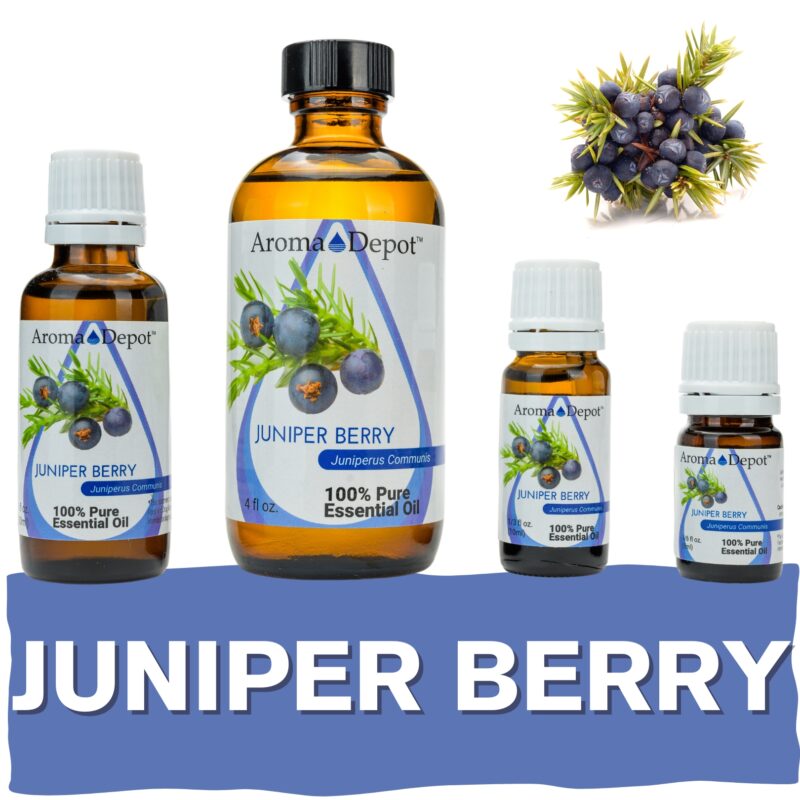 Aromatherapy Essential Oil Wholesale Aroma Depot Buy 3, Get 1 FREE Over 15 Thousand Sold on eBay Juniper Berry Essential Oil 100% Pure Natural Therapeutic Grade Wholesale Pure Natural Therapeutic Grade Juniper Berry Essential Oil: Ideal for Aromatherapy, Skin Care, Candle Making, and Diffusing. Botanical Name: Citrus racemosa Aroma: Juniper Berry Essential Oil (Juniperus communis) offers a fresh, woody aroma with a hint of fruity sweetness, providing a grounding and revitalizing scent. Blends With: Juniper Berry Essential Oil (Juniperus communis) blends harmoniously with a variety of other essential oils, including cedarwood, lavender, lemon, grapefruit, peppermint, and rosemary. Derived from the berries of the juniper tree (Juniperus communis) through steam distillation, Juniper Berry Essential Oil is cherished for its crisp aroma and versatile properties, making it a popular choice in aromatherapy, personal care products, and natural cleaning solutions. Common Uses: Purifying Atmosphere: Diffuse Juniper Berry Essential Oil to purify the air and create a fresh, invigorating atmosphere, perfect for enhancing focus and mental clarity. Emotional Support: Inhale the calming scent of Juniper Berry Essential Oil to promote relaxation and emotional balance, particularly during times of stress or tension. Muscle Relaxation: Dilute Juniper Berry Essential Oil with a carrier oil and massage it into sore muscles and joints to ease tension and discomfort. However, it's important to note that Juniper Berry Essential Oil must be diluted properly before use to prevent skin irritation. Always conduct a patch test beforehand, especially if you have sensitive skin. Additionally, consult with a healthcare professional before using essential oils, particularly if pregnant, nursing, or dealing with any medical concerns." Let me know if this fits your needs! Our oils are crafted to the highest standards of purity and quality, ensuring they are 100% natural therapeutic grade and free from pesticides, carriers, or synthetic additives. However, it's crucial to understand that essential oils are potent concentrates that require careful handling. Leading organizations such as the International Federation of Aromatherapists and prominent aromatherapy associations advise against internal use of essential oils without proper guidance from a trained healthcare practitioner. While our oils are of the utmost quality, internal use should only be undertaken under the supervision of a qualified professional. It's important to note that the information provided on our site is for reference purposes only and should not replace advice from licensed healthcare professionals. Our products have not been evaluated by the FDA and are not intended to diagnose, treat, cure, or prevent any disease. We classify our essential oils as medical food grade, and we strongly advise against internal use unless directed by a healthcare provider and certified aromatherapist. Proper dosage and usage should only be determined by qualified professionals. We urge you to consult with your healthcare provider and certified aromatherapist before considering ingestion of any essential oils. Safety is paramount, so please keep essential oils out of reach of infants, children, and pets. Wholesale available