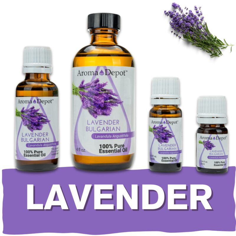 Aromatherapy Essential Oil Wholesale Aroma Depot Buy 3, Get 1 FREE Over 15 Thousand Sold on eBay Lavender Bulgarian Essential Oil 100% Pure Natural Therapeutic Grade Wholesale Pure Natural Therapeutic Grade Lavender Bulgarian Essential Oil: Ideal for Aromatherapy, Skin Care, Candle Making, and Diffusing. Botanical Name: Lavandula angustifolia Aroma: Lavender Bulgarian Essential Oil (Lavandula angustifolia) emits a floral, herbaceous aroma with sweet and soothing undertones, providing a calming and relaxing scent. Blends With: Lavender Bulgarian Essential Oil (Lavandula angustifolia) blends seamlessly with a variety of other essential oils, including bergamot, chamomile, geranium, lemon, and rosemary. Derived from the flowers of the lavender plant (Lavandula angustifolia) through steam distillation, Lavender Bulgarian Essential Oil is prized for its delicate aroma and versatile properties, making it a staple in aromatherapy, personal care products, and natural remedies. Common Uses: Relaxation: Diffuse Lavender Bulgarian Essential Oil to create a serene and peaceful atmosphere, perfect for promoting relaxation and restful sleep. Skin Care: Dilute Lavender Bulgarian Essential Oil with a carrier oil and apply it topically to soothe and nourish the skin, making it ideal for calming irritation and reducing the appearance of blemishes. Stress Relief: Inhale the gentle scent of Lavender Bulgarian Essential Oil to alleviate stress and tension, helping to promote emotional balance and well-being. However, it's important to note that Lavender Bulgarian Essential Oil must be diluted properly before use to prevent skin irritation. Always conduct a patch test beforehand, especially if you have sensitive skin. Additionally, consult with a healthcare professional before using essential oils, particularly if pregnant, nursing, or dealing with any medical concerns." Let me know if this meets your requirements! Our oils are crafted to the highest standards of purity and quality, ensuring they are 100% natural therapeutic grade and free from pesticides, carriers, or synthetic additives. However, it's crucial to understand that essential oils are potent concentrates that require careful handling. Leading organizations such as the International Federation of Aromatherapists and prominent aromatherapy associations advise against internal use of essential oils without proper guidance from a trained healthcare practitioner. While our oils are of the utmost quality, internal use should only be undertaken under the supervision of a qualified professional. It's important to note that the information provided on our site is for reference purposes only and should not replace advice from licensed healthcare professionals. Our products have not been evaluated by the FDA and are not intended to diagnose, treat, cure, or prevent any disease. We classify our essential oils as medical food grade, and we strongly advise against internal use unless directed by a healthcare provider and certified aromatherapist. Proper dosage and usage should only be determined by qualified professionals. We urge you to consult with your healthcare provider and certified aromatherapist before considering ingestion of any essential oils. Safety is paramount, so please keep essential oils out of reach of infants, children, and pets. Wholesale available