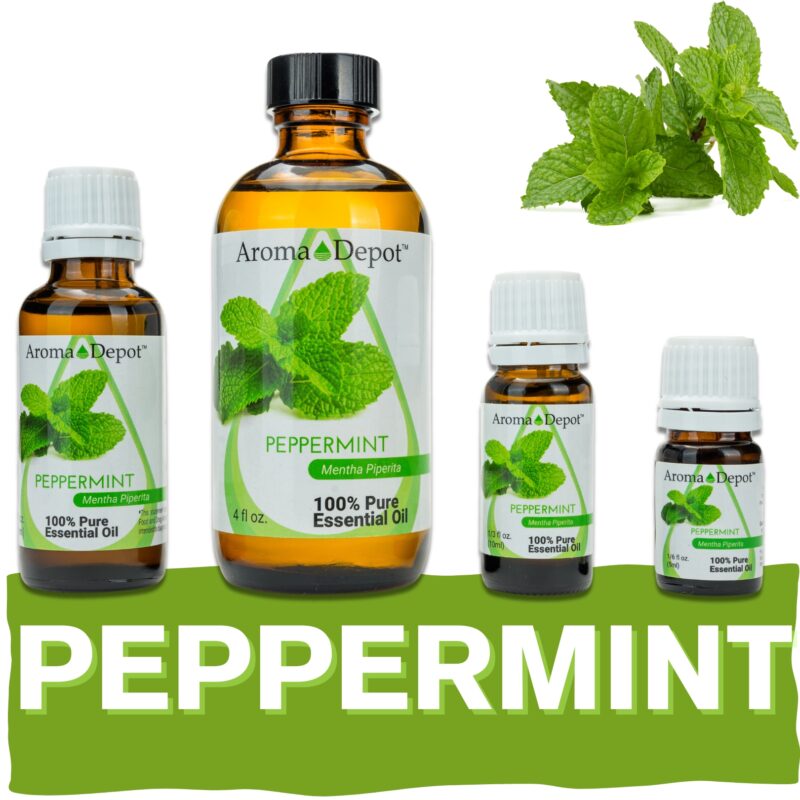 Aromatherapy Essential Oil Wholesale Aroma Depot Buy 3, Get 1 FREE Over 15 Thousand Sold on eBay Peppermint Essential Oil 100% Pure Natural Therapeutic Grade Wholesale Pure Natural Therapeutic Grade Peppermint Essential Oil (Dark): Ideal for Aromatherapy, Skin Care, Candle Making, and Diffusing. Botanical Name: Mentha piperita Aroma: Peppermint Essential Oil (Mentha piperita) emits a refreshing, minty aroma with cooling and invigorating properties, providing a revitalizing and energizing scent. Blends With: Peppermint Essential Oil (Mentha piperita) blends seamlessly with a variety of other essential oils, including eucalyptus, lavender, lemon, rosemary, and tea tree. Derived from the leaves of the peppermint plant (Mentha piperita) through steam distillation, Peppermint Essential Oil is cherished for its invigorating aroma and versatile properties, making it a popular choice in aromatherapy, personal care products, and natural remedies. Common Uses: Energizing Atmosphere: Diffuse Peppermint Essential Oil to create a fresh and invigorating atmosphere, perfect for boosting focus and mental clarity. Digestive Support: Inhale the uplifting scent of Peppermint Essential Oil to promote healthy digestion and alleviate occasional stomach discomfort. Topical Relief: Dilute Peppermint Essential Oil with a carrier oil and apply it topically to soothe sore muscles and joints, providing relief from tension and discomfort. However, it's important to note that Peppermint Essential Oil must be diluted properly before use to prevent skin irritation. Always conduct a patch test beforehand, especially if you have sensitive skin. Additionally, consult with a healthcare professional before using essential oils, particularly if pregnant, nursing, or dealing with any medical concerns." Let me know if this meets your expectations! Our oils are crafted to the highest standards of purity and quality, ensuring they are 100% natural therapeutic grade and free from pesticides, carriers, or synthetic additives. However, it's crucial to understand that essential oils are potent concentrates that require careful handling. Leading organizations such as the International Federation of Aromatherapists and prominent aromatherapy associations advise against internal use of essential oils without proper guidance from a trained healthcare practitioner. While our oils are of the utmost quality, internal use should only be undertaken under the supervision of a qualified professional. It's important to note that the information provided on our site is for reference purposes only and should not replace advice from licensed healthcare professionals. Our products have not been evaluated by the FDA and are not intended to diagnose, treat, cure, or prevent any disease. We classify our essential oils as medical food grade, and we strongly advise against internal use unless directed by a healthcare provider and certified aromatherapist. Proper dosage and usage should only be determined by qualified professionals. We urge you to consult with your healthcare provider and certified aromatherapist before considering ingestion of any essential oils. Safety is paramount, so please keep essential oils out of reach of infants, children, and pets. Wholesale available