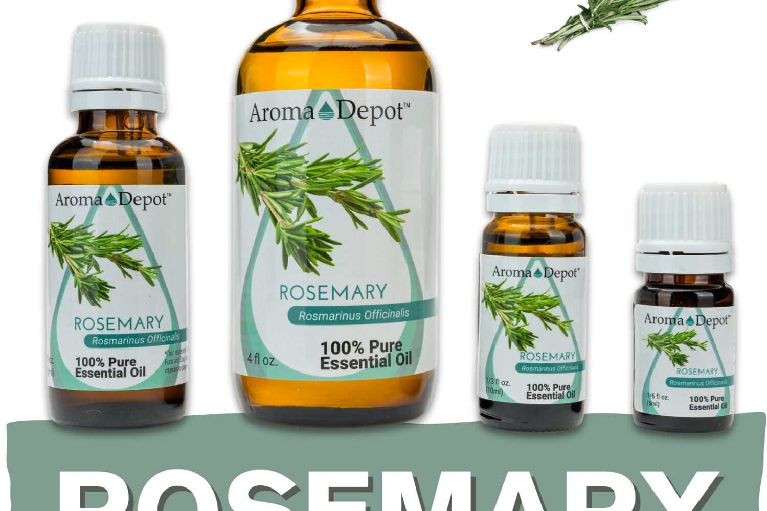 Aromatherapy Essential Oil Wholesale Aroma Depot Buy 3, Get 1 FREE Over 15 Thousand Sold on eBay Rosemary Essential Oil 100% Pure Natural Therapeutic Grade Wholesale Pure Natural Therapeutic Grade Rosemary Essential Oil: Ideal for Aromatherapy, Skin Care, Candle Making, and Diffusing. Botanical Name: Rosmarinus officinalis Aroma: Rosemary Essential Oil (Rosmarinus officinalis) emits a refreshing, herbaceous aroma with woody and camphoraceous undertones, providing a revitalizing and invigorating scent. Blends With: Rosemary Essential Oil (Rosmarinus officinalis) blends seamlessly with a variety of other essential oils, including lavender, peppermint, eucalyptus, lemon, and tea tree. Derived from the leaves of the rosemary plant (Rosmarinus officinalis) through steam distillation, Rosemary Essential Oil is cherished for its stimulating aroma and versatile properties, making it a popular choice in aromatherapy, personal care products, and natural remedies. Common Uses: Mental Clarity: Inhale the uplifting scent of Rosemary Essential Oil to promote mental clarity and enhance focus, perfect for studying or concentration. Hair Care: Add Rosemary Essential Oil to your shampoo or conditioner to stimulate hair growth, improve scalp health, and reduce dandruff. Respiratory Support: Diffuse Rosemary Essential Oil to support respiratory health and promote clear breathing, especially during times of congestion or discomfort. Usage Tips: Remember to dilute Rosemary Essential Oil properly before use to prevent skin irritation. Always conduct a patch test beforehand, especially if you have sensitive skin. Additionally, consult with a healthcare professional before using essential oils, particularly if pregnant, nursing, or dealing with any medical concerns. Unlock the revitalizing benefits of Rosemary Essential Oil and elevate your well-being naturally! Our oils are crafted to the highest standards of purity and quality, ensuring they are 100% natural therapeutic grade and free from pesticides, carriers, or synthetic additives. However, it's crucial to understand that essential oils are potent concentrates that require careful handling. Leading organizations such as the International Federation of Aromatherapists and prominent aromatherapy associations advise against internal use of essential oils without proper guidance from a trained healthcare practitioner. While our oils are of the utmost quality, internal use should only be undertaken under the supervision of a qualified professional. It's important to note that the information provided on our site is for reference purposes only and should not replace advice from licensed healthcare professionals. Our products have not been evaluated by the FDA and are not intended to diagnose, treat, cure, or prevent any disease. We classify our essential oils as medical food grade, and we strongly advise against internal use unless directed by a healthcare provider and certified aromatherapist. Proper dosage and usage should only be determined by qualified professionals. We urge you to consult with your healthcare provider and certified aromatherapist before considering ingestion of any essential oils. Safety is paramount, so please keep essential oils out of reach of infants, children, and pets. Wholesale available