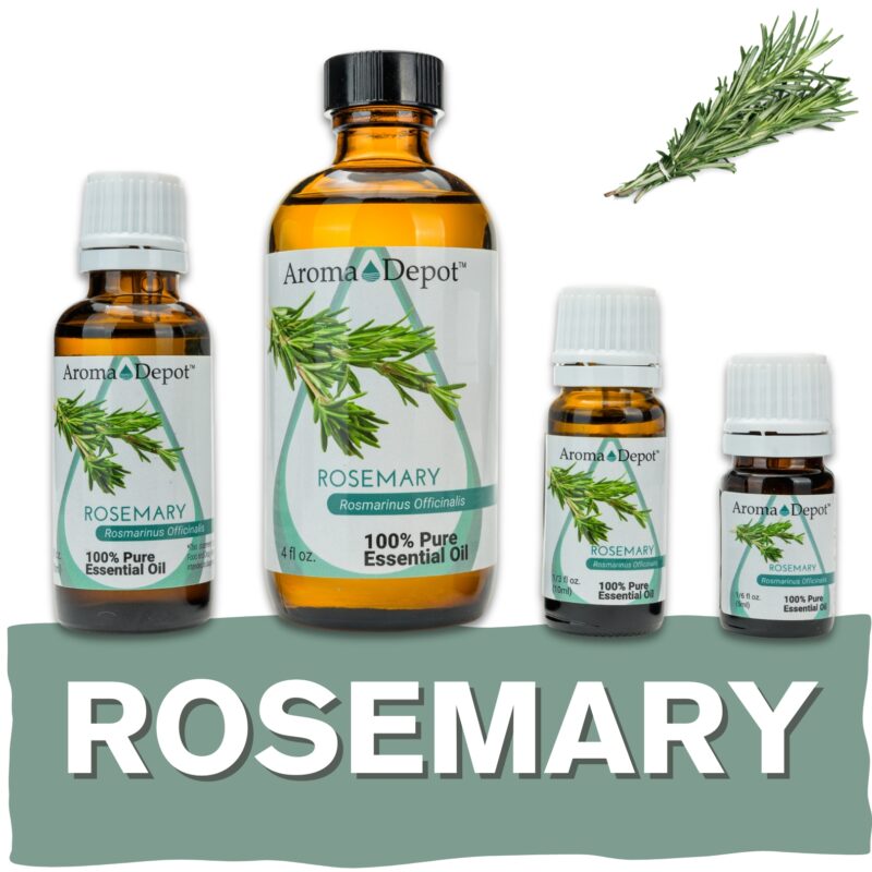 Aromatherapy Essential Oil Wholesale Aroma Depot Buy 3, Get 1 FREE Over 15 Thousand Sold on eBay Rosemary Essential Oil 100% Pure Natural Therapeutic Grade Wholesale Pure Natural Therapeutic Grade Rosemary Essential Oil: Ideal for Aromatherapy, Skin Care, Candle Making, and Diffusing. Botanical Name: Rosmarinus officinalis Aroma: Rosemary Essential Oil (Rosmarinus officinalis) emits a refreshing, herbaceous aroma with woody and camphoraceous undertones, providing a revitalizing and invigorating scent. Blends With: Rosemary Essential Oil (Rosmarinus officinalis) blends seamlessly with a variety of other essential oils, including lavender, peppermint, eucalyptus, lemon, and tea tree. Derived from the leaves of the rosemary plant (Rosmarinus officinalis) through steam distillation, Rosemary Essential Oil is cherished for its stimulating aroma and versatile properties, making it a popular choice in aromatherapy, personal care products, and natural remedies. Common Uses: Mental Clarity: Inhale the uplifting scent of Rosemary Essential Oil to promote mental clarity and enhance focus, perfect for studying or concentration. Hair Care: Add Rosemary Essential Oil to your shampoo or conditioner to stimulate hair growth, improve scalp health, and reduce dandruff. Respiratory Support: Diffuse Rosemary Essential Oil to support respiratory health and promote clear breathing, especially during times of congestion or discomfort. Usage Tips: Remember to dilute Rosemary Essential Oil properly before use to prevent skin irritation. Always conduct a patch test beforehand, especially if you have sensitive skin. Additionally, consult with a healthcare professional before using essential oils, particularly if pregnant, nursing, or dealing with any medical concerns. Unlock the revitalizing benefits of Rosemary Essential Oil and elevate your well-being naturally! Our oils are crafted to the highest standards of purity and quality, ensuring they are 100% natural therapeutic grade and free from pesticides, carriers, or synthetic additives. However, it's crucial to understand that essential oils are potent concentrates that require careful handling. Leading organizations such as the International Federation of Aromatherapists and prominent aromatherapy associations advise against internal use of essential oils without proper guidance from a trained healthcare practitioner. While our oils are of the utmost quality, internal use should only be undertaken under the supervision of a qualified professional. It's important to note that the information provided on our site is for reference purposes only and should not replace advice from licensed healthcare professionals. Our products have not been evaluated by the FDA and are not intended to diagnose, treat, cure, or prevent any disease. We classify our essential oils as medical food grade, and we strongly advise against internal use unless directed by a healthcare provider and certified aromatherapist. Proper dosage and usage should only be determined by qualified professionals. We urge you to consult with your healthcare provider and certified aromatherapist before considering ingestion of any essential oils. Safety is paramount, so please keep essential oils out of reach of infants, children, and pets. Wholesale available