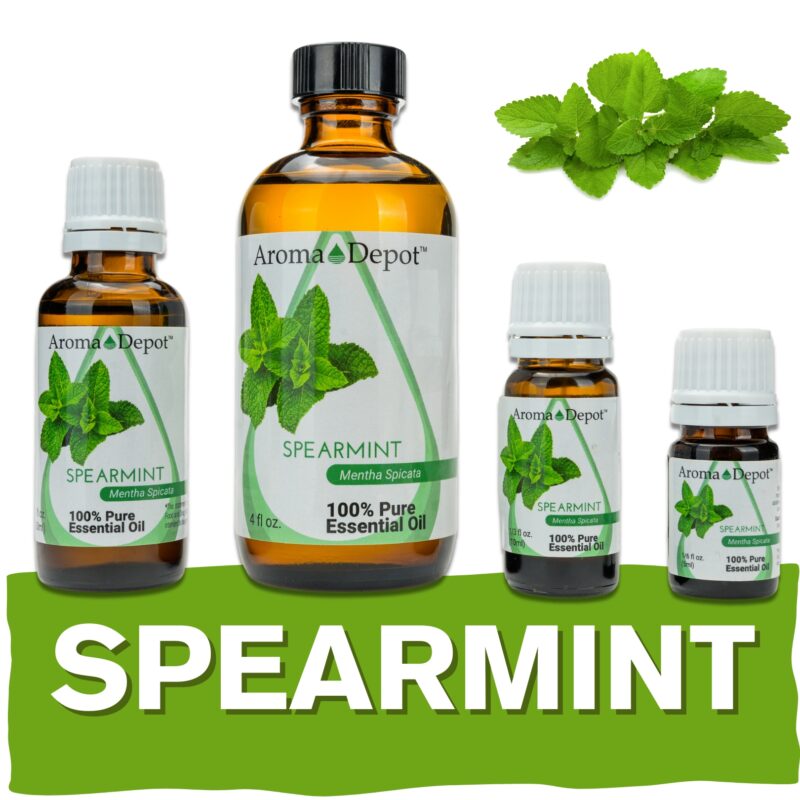 Aromatherapy Essential Oil Wholesale Aroma Depot Buy 3, Get 1 FREE Over 15 Thousand Sold on eBay Spearmint Essential Oil 100% Pure Natural Therapeutic Grade Wholesale Pure Natural Therapeutic Grade Spearmint Essential Oil (Dark): Ideal for Aromatherapy, Skin Care, Candle Making, and Diffusing. Botanical Name: Mentha piperita Aroma: Spearmint Essential Oil (Mentha spicata) emits a refreshing, minty aroma with sweet and herbaceous undertones, providing a cooling and invigorating scent. Blends With: Spearmint Essential Oil (Mentha spicata) blends harmoniously with a variety of other essential oils, including lavender, peppermint, eucalyptus, lemon, and rosemary. Derived from the leaves of the spearmint plant (Mentha spicata) through steam distillation, Spearmint Essential Oil is cherished for its uplifting aroma and versatile properties, making it a popular choice in aromatherapy, personal care products, and natural remedies. Common Uses: Energizing Atmosphere: Diffuse Spearmint Essential Oil to create a fresh and invigorating atmosphere, perfect for promoting mental clarity and boosting mood. Digestive Support: Inhale the soothing scent of Spearmint Essential Oil to aid digestion and alleviate occasional stomach discomfort. Topical Relief: Dilute Spearmint Essential Oil with a carrier oil and apply it topically to cool and soothe tired muscles and joints, providing relief from tension and discomfort. However, it's important to note that Spearmint Essential Oil must be diluted properly before use to prevent skin irritation. Always conduct a patch test beforehand, especially if you have sensitive skin. Additionally, consult with a healthcare professional before using essential oils, particularly if pregnant, nursing, or dealing with any medical concerns." Let me know if this fits your requirements! Our oils are crafted to the highest standards of purity and quality, ensuring they are 100% natural therapeutic grade and free from pesticides, carriers, or synthetic additives. However, it's crucial to understand that essential oils are potent concentrates that require careful handling. Leading organizations such as the International Federation of Aromatherapists and prominent aromatherapy associations advise against internal use of essential oils without proper guidance from a trained healthcare practitioner. While our oils are of the utmost quality, internal use should only be undertaken under the supervision of a qualified professional. It's important to note that the information provided on our site is for reference purposes only and should not replace advice from licensed healthcare professionals. Our products have not been evaluated by the FDA and are not intended to diagnose, treat, cure, or prevent any disease. We classify our essential oils as medical food grade, and we strongly advise against internal use unless directed by a healthcare provider and certified aromatherapist. Proper dosage and usage should only be determined by qualified professionals. We urge you to consult with your healthcare provider and certified aromatherapist before considering ingestion of any essential oils. Safety is paramount, so please keep essential oils out of reach of infants, children, and pets. Wholesale available