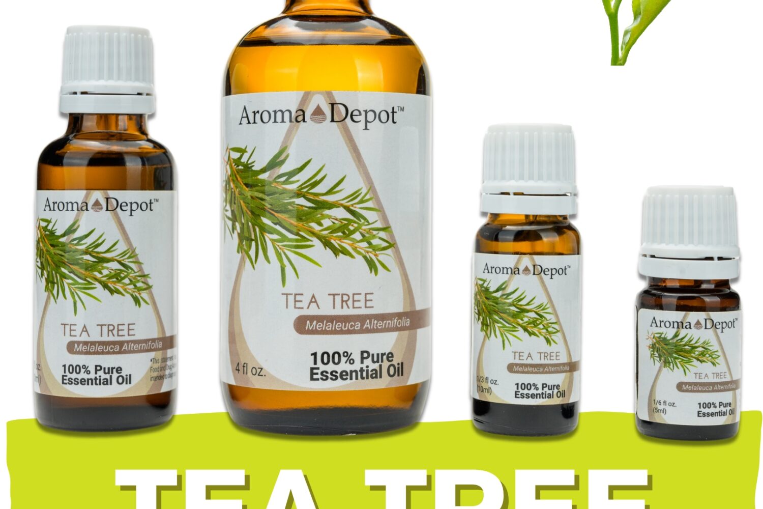Aromatherapy Essential Oil Wholesale Aroma Depot Buy 3, Get 1 FREE Over 15 Thousand Sold on eBay Tea Tree Essential Oil 100% Pure Natural Therapeutic Grade Wholesale Pure Natural Therapeutic Grade Tea Tree Essential Oil: Ideal for Aromatherapy, Skin Care, Candle Making, and Diffusing. Botanical Name: Melaleuca alternifolia Aroma: Tea Tree Essential Oil (Melaleuca alternifolia) emits a fresh, medicinal aroma with herbaceous and camphoraceous notes, providing a cleansing and purifying scent. Blends With: Tea Tree Essential Oil (Melaleuca alternifolia) blends well with a variety of other essential oils, including lavender, eucalyptus, lemon, peppermint, and rosemary. Derived from the leaves of the tea tree (Melaleuca alternifolia) through steam distillation, Tea Tree Essential Oil is revered for its potent antimicrobial properties and versatile uses, making it a staple in aromatherapy, personal care products, and natural remedies. Common Uses: Skin Care: Dilute Tea Tree Essential Oil with a carrier oil and apply it topically to cleanse and purify the skin, making it ideal for addressing blemishes, acne, and minor skin irritations. Hair Care: Add Tea Tree Essential Oil to your shampoo or conditioner to promote a healthy scalp and reduce dandruff and itchiness. Household Cleaning: Harness the antimicrobial properties of Tea Tree Essential Oil by adding it to homemade cleaning products to disinfect surfaces and freshen the air. However, it's important to note that Tea Tree Essential Oil should be used with caution, as it can cause skin irritation in some individuals. Always conduct a patch test beforehand, especially if you have sensitive skin. Additionally, consult with a healthcare professional before using essential oils, particularly if pregnant, nursing, or dealing with any medical concerns." Let me know if this fits your requirements! Our oils are crafted to the highest standards of purity and quality, ensuring they are 100% natural therapeutic grade and free from pesticides, carriers, or synthetic additives. However, it's crucial to understand that essential oils are potent concentrates that require careful handling. Leading organizations such as the International Federation of Aromatherapists and prominent aromatherapy associations advise against internal use of essential oils without proper guidance from a trained healthcare practitioner. While our oils are of the utmost quality, internal use should only be undertaken under the supervision of a qualified professional. It's important to note that the information provided on our site is for reference purposes only and should not replace advice from licensed healthcare professionals. Our products have not been evaluated by the FDA and are not intended to diagnose, treat, cure, or prevent any disease. We classify our essential oils as medical food grade, and we strongly advise against internal use unless directed by a healthcare provider and certified aromatherapist. Proper dosage and usage should only be determined by qualified professionals. We urge you to consult with your healthcare provider and certified aromatherapist before considering ingestion of any essential oils. Safety is paramount, so please keep essential oils out of reach of infants, children, and pets. Wholesale available