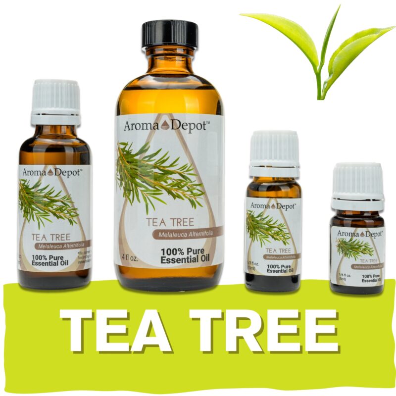 Aromatherapy Essential Oil Wholesale Aroma Depot Buy 3, Get 1 FREE Over 15 Thousand Sold on eBay Tea Tree Essential Oil 100% Pure Natural Therapeutic Grade Wholesale Pure Natural Therapeutic Grade Tea Tree Essential Oil: Ideal for Aromatherapy, Skin Care, Candle Making, and Diffusing. Botanical Name: Melaleuca alternifolia Aroma: Tea Tree Essential Oil (Melaleuca alternifolia) emits a fresh, medicinal aroma with herbaceous and camphoraceous notes, providing a cleansing and purifying scent. Blends With: Tea Tree Essential Oil (Melaleuca alternifolia) blends well with a variety of other essential oils, including lavender, eucalyptus, lemon, peppermint, and rosemary. Derived from the leaves of the tea tree (Melaleuca alternifolia) through steam distillation, Tea Tree Essential Oil is revered for its potent antimicrobial properties and versatile uses, making it a staple in aromatherapy, personal care products, and natural remedies. Common Uses: Skin Care: Dilute Tea Tree Essential Oil with a carrier oil and apply it topically to cleanse and purify the skin, making it ideal for addressing blemishes, acne, and minor skin irritations. Hair Care: Add Tea Tree Essential Oil to your shampoo or conditioner to promote a healthy scalp and reduce dandruff and itchiness. Household Cleaning: Harness the antimicrobial properties of Tea Tree Essential Oil by adding it to homemade cleaning products to disinfect surfaces and freshen the air. However, it's important to note that Tea Tree Essential Oil should be used with caution, as it can cause skin irritation in some individuals. Always conduct a patch test beforehand, especially if you have sensitive skin. Additionally, consult with a healthcare professional before using essential oils, particularly if pregnant, nursing, or dealing with any medical concerns." Let me know if this fits your requirements! Our oils are crafted to the highest standards of purity and quality, ensuring they are 100% natural therapeutic grade and free from pesticides, carriers, or synthetic additives. However, it's crucial to understand that essential oils are potent concentrates that require careful handling. Leading organizations such as the International Federation of Aromatherapists and prominent aromatherapy associations advise against internal use of essential oils without proper guidance from a trained healthcare practitioner. While our oils are of the utmost quality, internal use should only be undertaken under the supervision of a qualified professional. It's important to note that the information provided on our site is for reference purposes only and should not replace advice from licensed healthcare professionals. Our products have not been evaluated by the FDA and are not intended to diagnose, treat, cure, or prevent any disease. We classify our essential oils as medical food grade, and we strongly advise against internal use unless directed by a healthcare provider and certified aromatherapist. Proper dosage and usage should only be determined by qualified professionals. We urge you to consult with your healthcare provider and certified aromatherapist before considering ingestion of any essential oils. Safety is paramount, so please keep essential oils out of reach of infants, children, and pets. Wholesale available