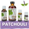 Aromatherapy Essential Oil Wholesale Aroma Depot Buy 3, Get 1 FREE Over 15 Thousand Sold on eBay Patchouli Essential Oil (Dark) 100% Pure Natural Therapeutic Grade Wholesale Pure Natural Therapeutic Grade Patchouli Essential Oil (Dark): Ideal for Aromatherapy, Skin Care, Candle Making, and Diffusing. Botanical Name: Cymbopogon flexuosus Aroma: Patchouli (Dark) Essential Oil (Pogostemon cablin) exudes a rich, earthy aroma with woody and musky undertones, providing a grounding and comforting scent. Blends With: Patchouli (Dark) Essential Oil (Pogostemon cablin) blends beautifully with a variety of other essential oils, including lavender, bergamot, sandalwood, cedarwood, and vetiver. Derived from the leaves of the patchouli plant (Pogostemon cablin) through steam distillation, Patchouli (Dark) Essential Oil is prized for its deep aroma and versatile properties, making it a popular choice in aromatherapy, personal care products, and natural remedies. Common Uses: Relaxation: Diffuse Patchouli (Dark) Essential Oil to create a warm and soothing atmosphere, perfect for promoting relaxation and stress relief. Skincare: Dilute Patchouli (Dark) Essential Oil with a carrier oil and apply it topically to nourish and rejuvenate the skin, making it ideal for promoting a healthy and radiant complexion. Emotional Support: Inhale the comforting scent of Patchouli (Dark) Essential Oil to alleviate anxiety and promote emotional balance, particularly during times of transition or uncertainty. However, it's important to note that Patchouli (Dark) Essential Oil must be diluted properly before use to prevent skin irritation. Always conduct a patch test beforehand, especially if you have sensitive skin. Additionally, consult with a healthcare professional before using essential oils, particularly if pregnant, nursing, or dealing with any medical concerns." Let me know if this meets your requirements! Our oils are crafted to the highest standards of purity and quality, ensuring they are 100% natural therapeutic grade and free from pesticides, carriers, or synthetic additives. However, it's crucial to understand that essential oils are potent concentrates that require careful handling. Leading organizations such as the International Federation of Aromatherapists and prominent aromatherapy associations advise against internal use of essential oils without proper guidance from a trained healthcare practitioner. While our oils are of the utmost quality, internal use should only be undertaken under the supervision of a qualified professional. It's important to note that the information provided on our site is for reference purposes only and should not replace advice from licensed healthcare professionals. Our products have not been evaluated by the FDA and are not intended to diagnose, treat, cure, or prevent any disease. We classify our essential oils as medical food grade, and we strongly advise against internal use unless directed by a healthcare provider and certified aromatherapist. Proper dosage and usage should only be determined by qualified professionals. We urge you to consult with your healthcare provider and certified aromatherapist before considering ingestion of any essential oils. Safety is paramount, so please keep essential oils out of reach of infants, children, and pets. Wholesale available