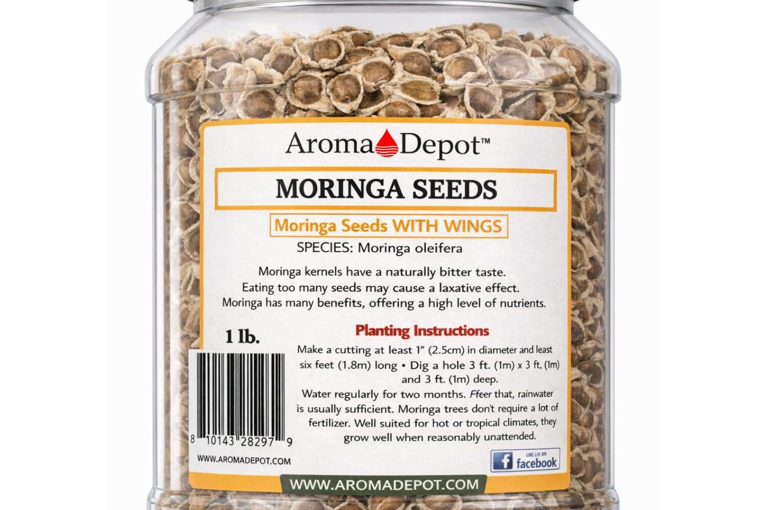 moringa seeds with wings