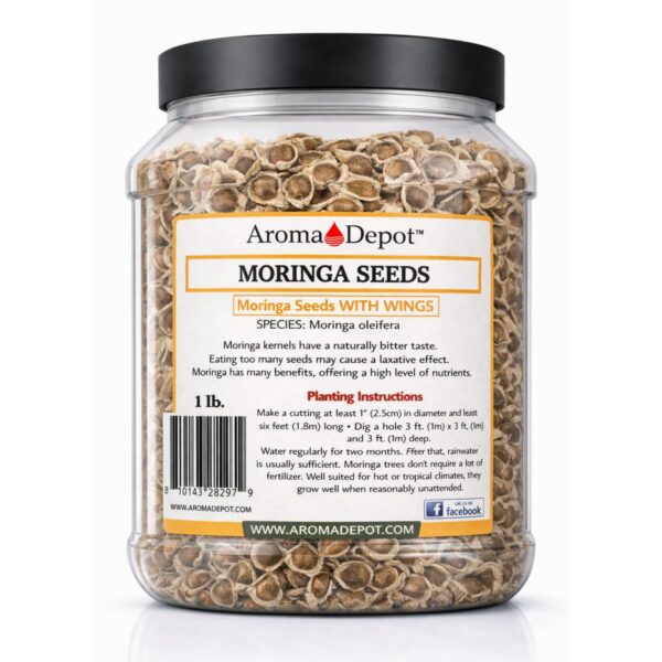 moringa seeds with wings